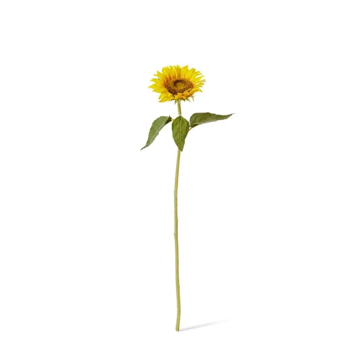 Sunflower Stem - 12 x 12 x 62cm