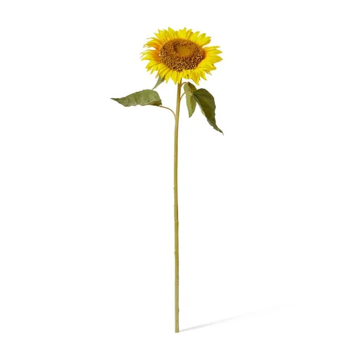 Sunflower Stem - 18 x 18 x 62cm