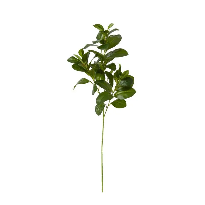 Lush Leaf Spray Green