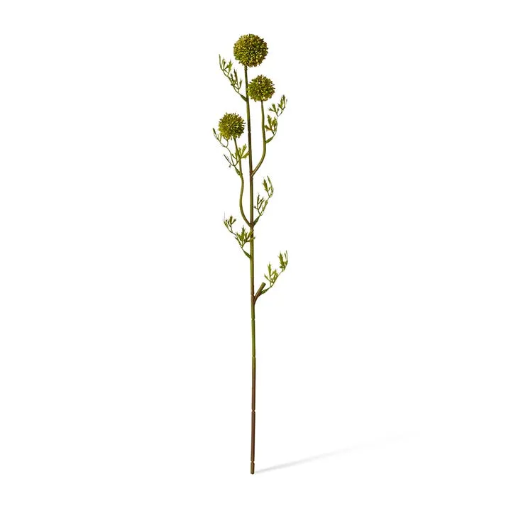 Seeding Pom Pom Spray Green - 61cm