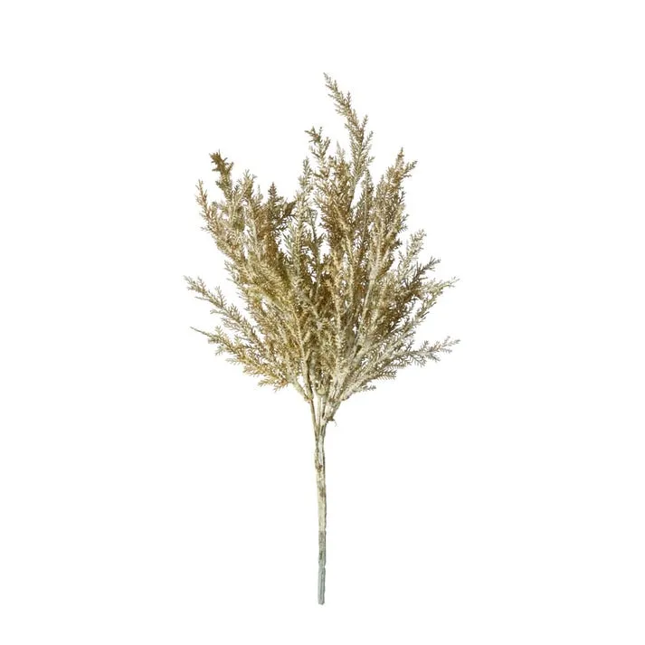 Astilbe Bush Grey - 23cm x 14cm x 39cm