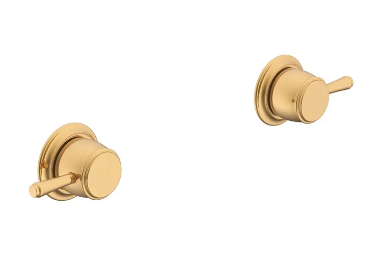 Eternal Wall Top Assembly pair Brushed Brass