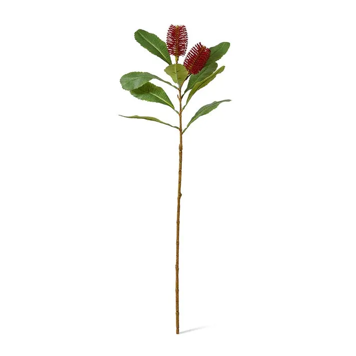 Banksia Spray Red - 76cm