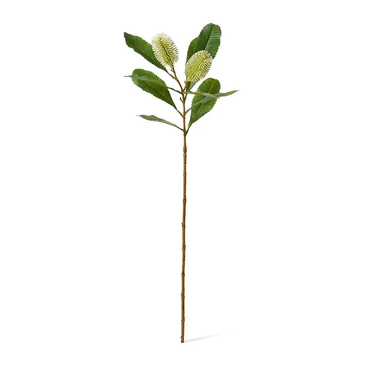 Banksia Spray White - 76cm