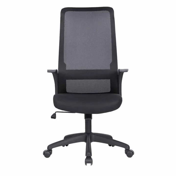 Cardrona Mesh Fabric Office Chair