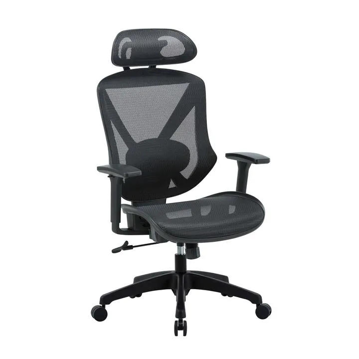 Esparza Mesh Ergonomic Office Chair - Black by Interior Secrets - AfterPay Available