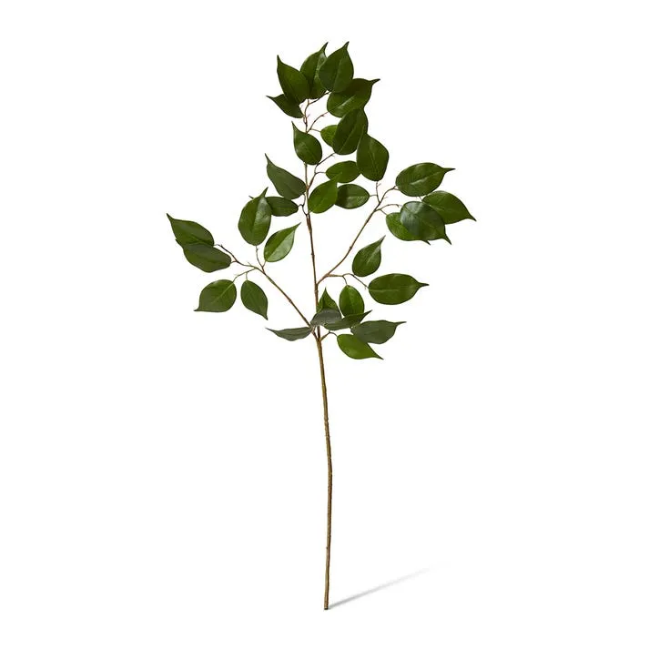 Ficus Spray - 42 x 20 x 90cm