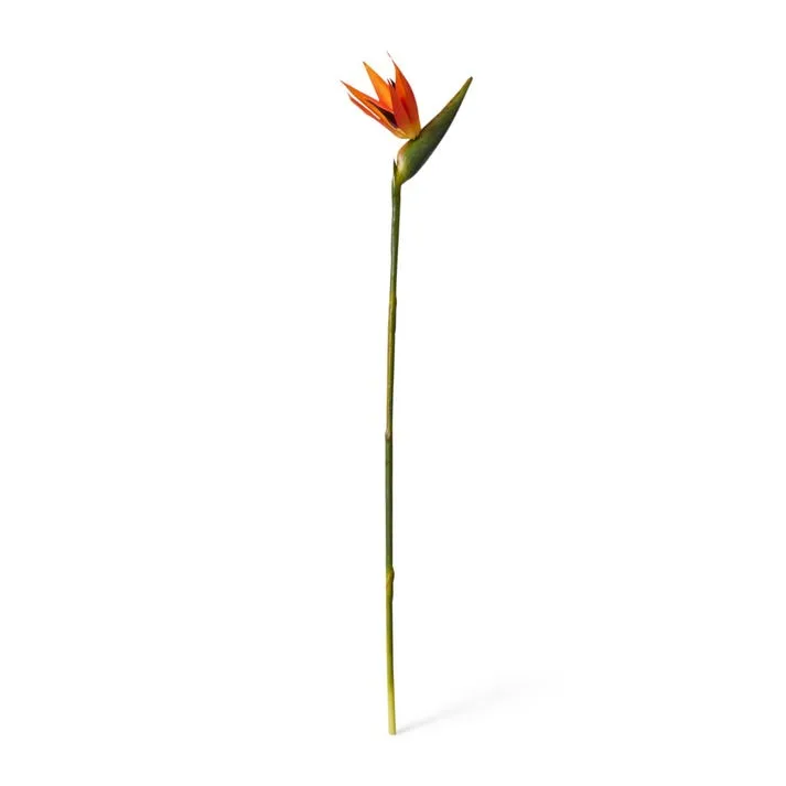 Bird of Paradise Stem - 23 x 12 x 100cm