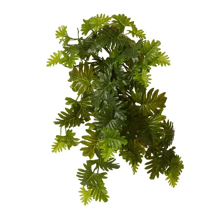 Monstera Hanging Plant - 30 x 30 x 56cm