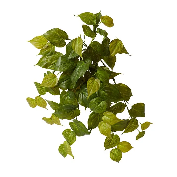 Philodendron Hanging Plant - 30 x 30 x 56cm