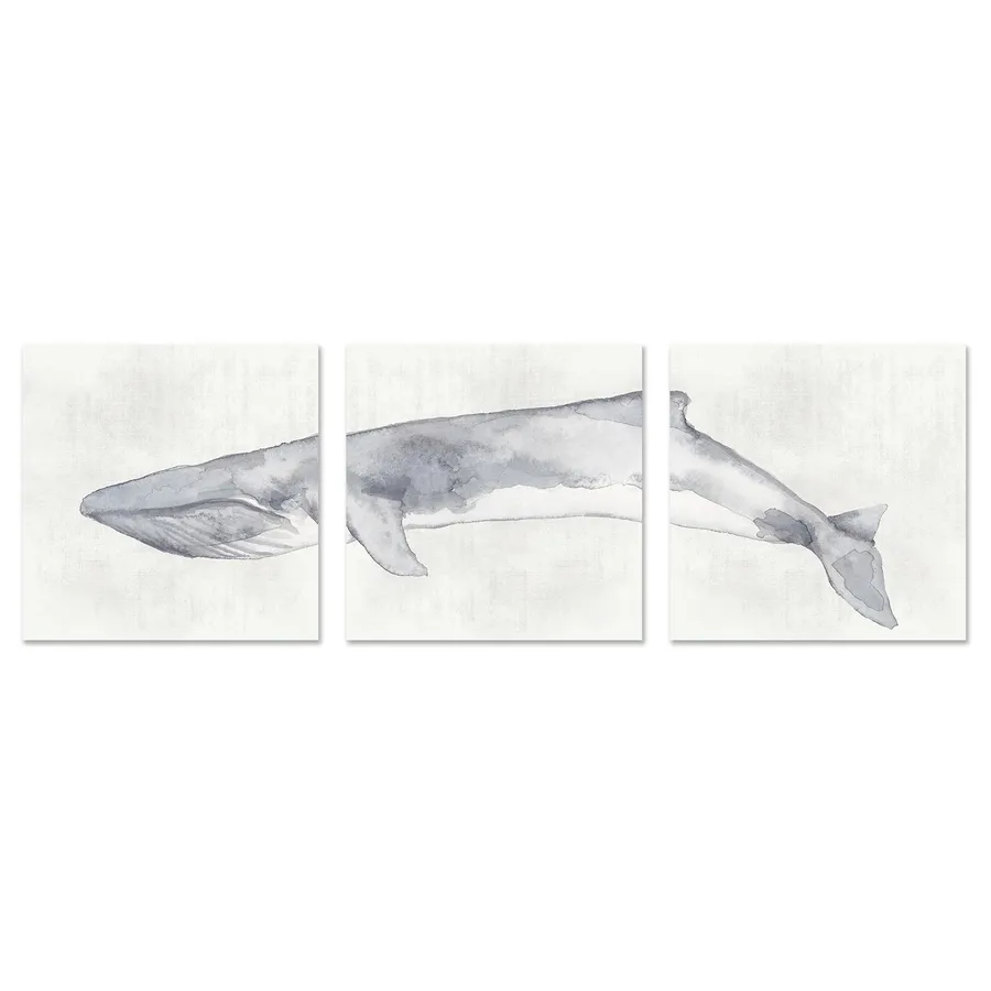 Whale, Set Of 3