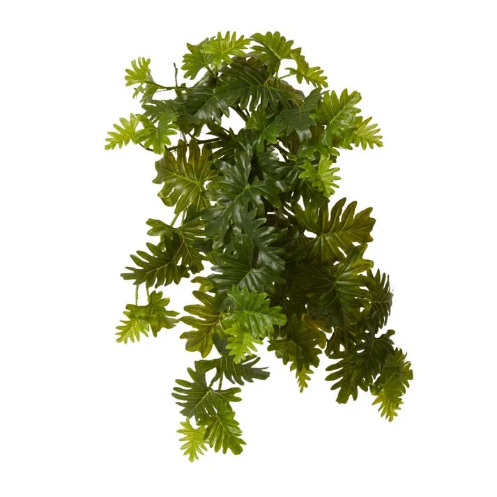 Philo Selloum Hanging Plant - 30 x 30 x 56cm