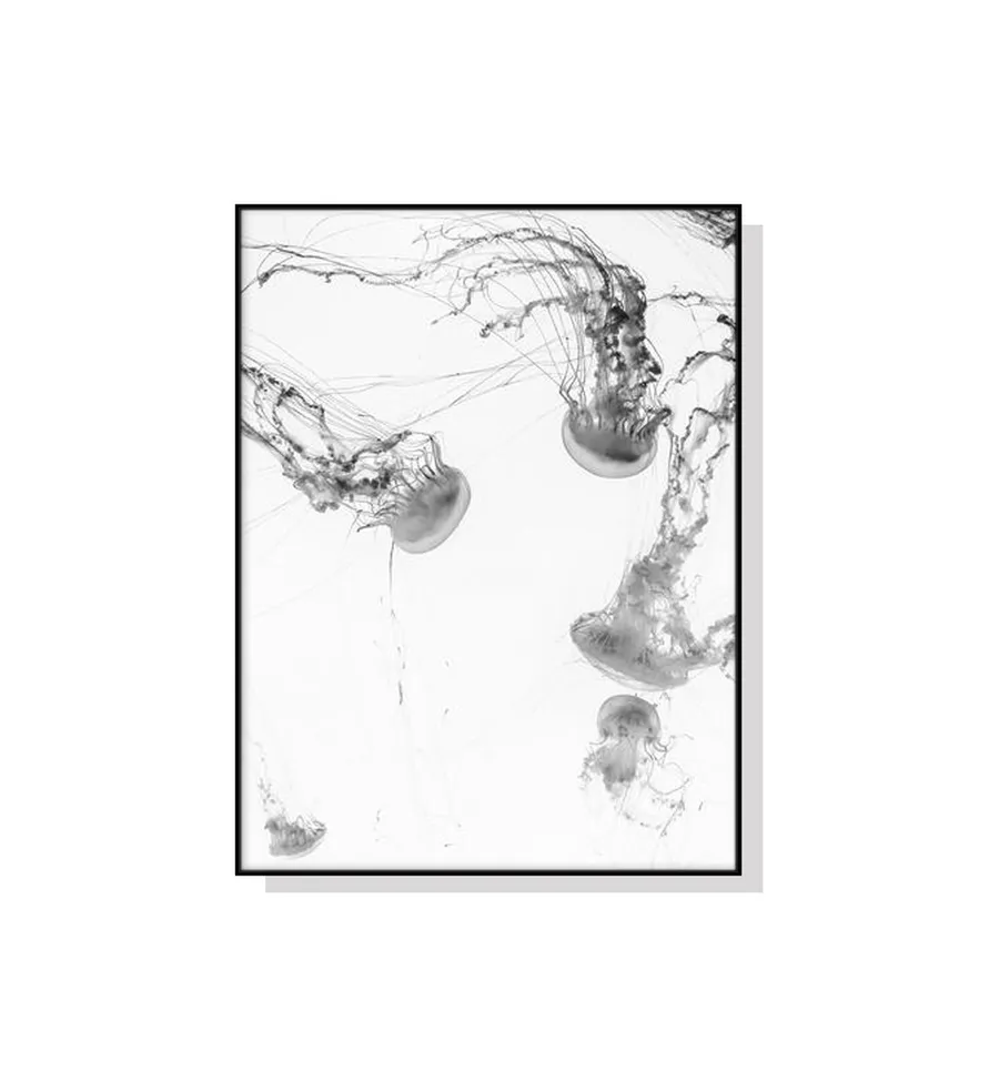 Jellyfish Wall Art Canvas 4 sizes available 70cm x 50cm