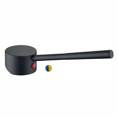 Care Handle 16 Degree Angled Pin Lever Suits 35mm | Made From Zinc In Black By Raymor