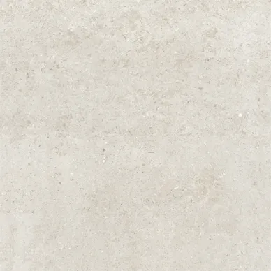 Earth Beige Matt 600x600