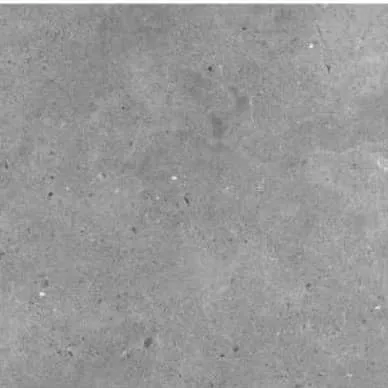Earth Dark Grey Matt 600x600