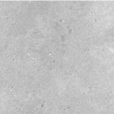 Earth Light Grey Matt 600x600
