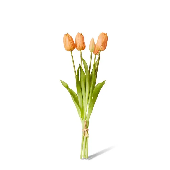 Tulip Bundle - 12 x 12 x 40cm
