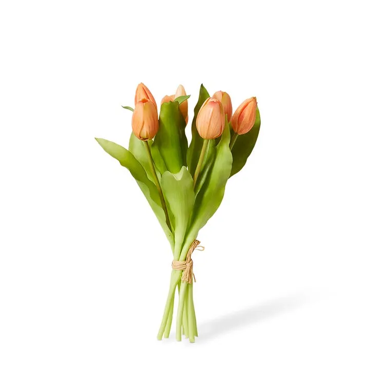 Tulip Petite Bundle - 22 x 22 x 30cm