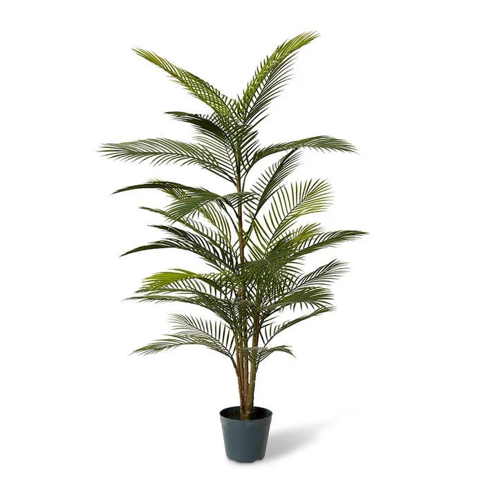 Areca Plam (Outdoor) - 80 x 80 x 120cm