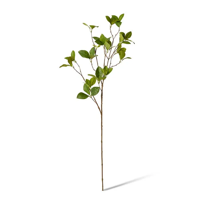 Enki Leaf Spray - 30 x 18 x 84cm