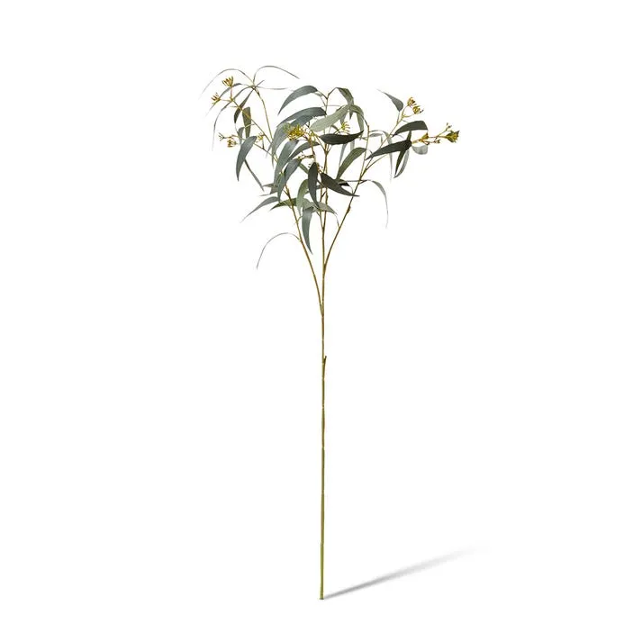 Eucalyptus Seeding Spray - 40 x 30 x 90cm
