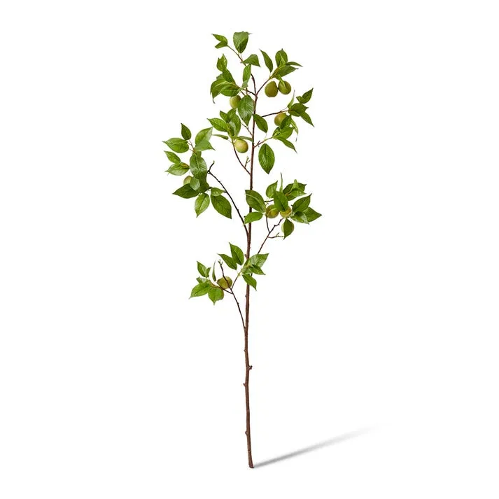 Fruit Branch - 44 x 20 x 119cm
