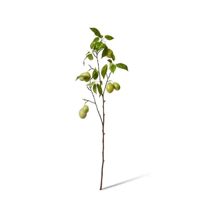 Fruit Branch - 28 x 12 x 98cm