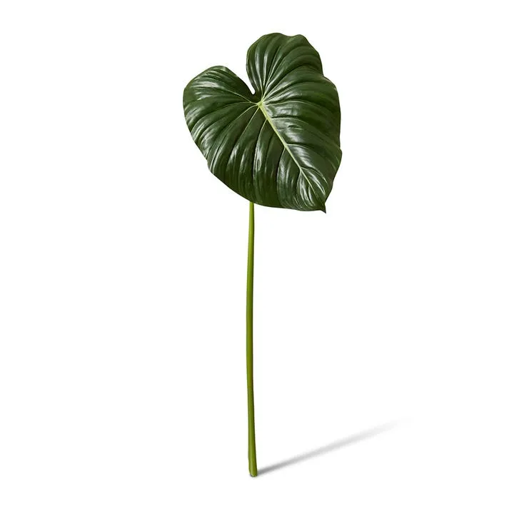 Philodendron Leaf Stem - 32 x 26 x 90cm