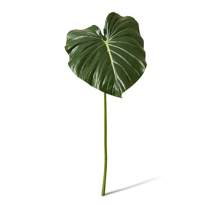 Philodendron Leaf Stem - 42 x 36 x 96cm