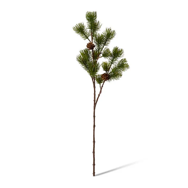 Pine Spray - 24 x 20 x 71cm