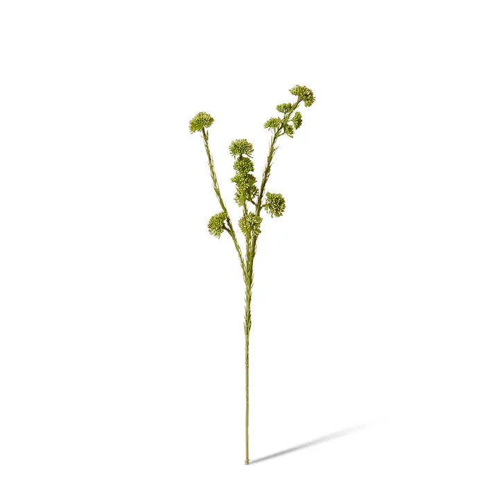Seeding Mini Spray - 13 x 10 x 56cm