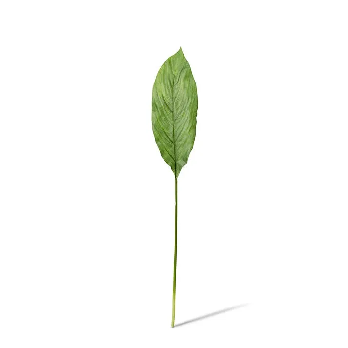 Spath Leaf Stem - 40 x 13 x 86cm