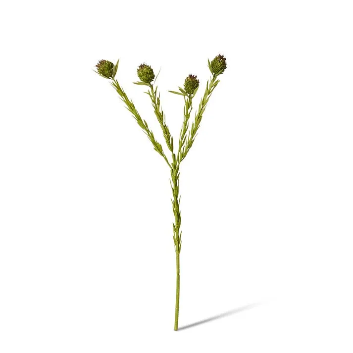 Clubmoss Spray - 10 x 6 x 56cm