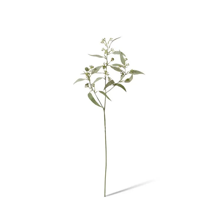 Eucalyptus Seeding Spray - 25 x 18 x 61cm