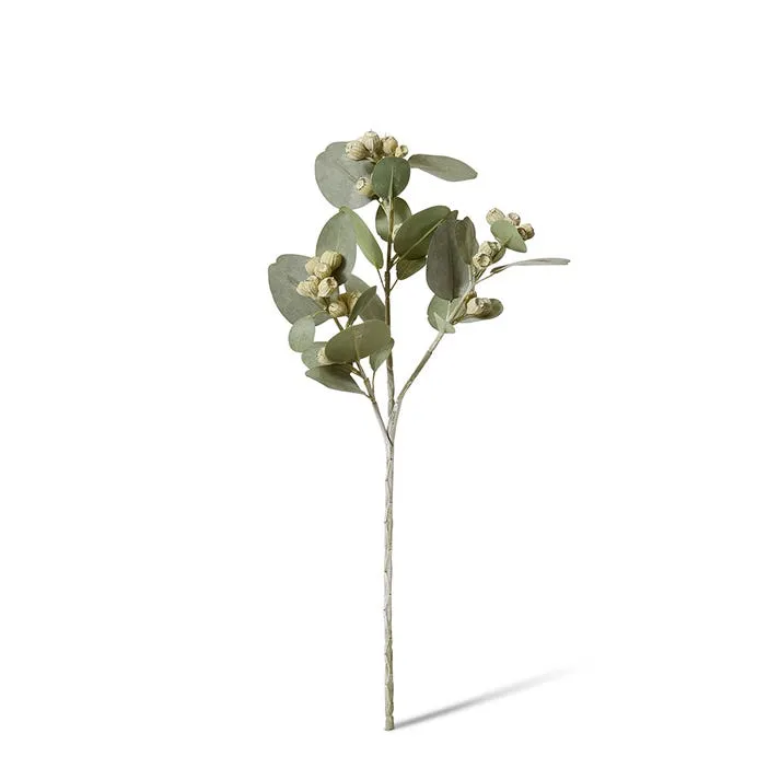 Eucy Gum Nut Spray - 26 x 14 x 61cm