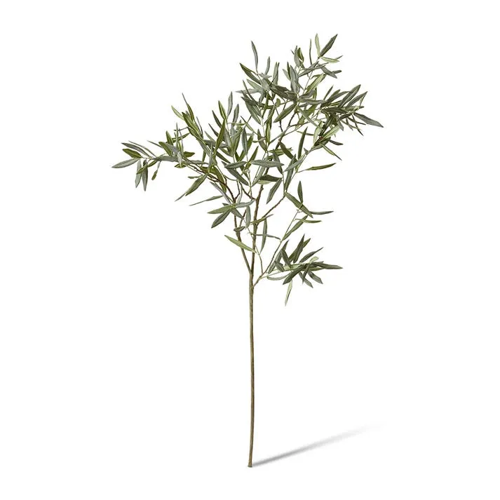 Olive Branch - 50 x 40 x 120cm