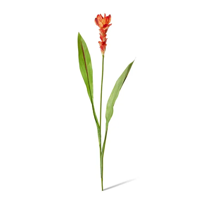 Ginger Flower Spray - 32 x 20 x 84cm