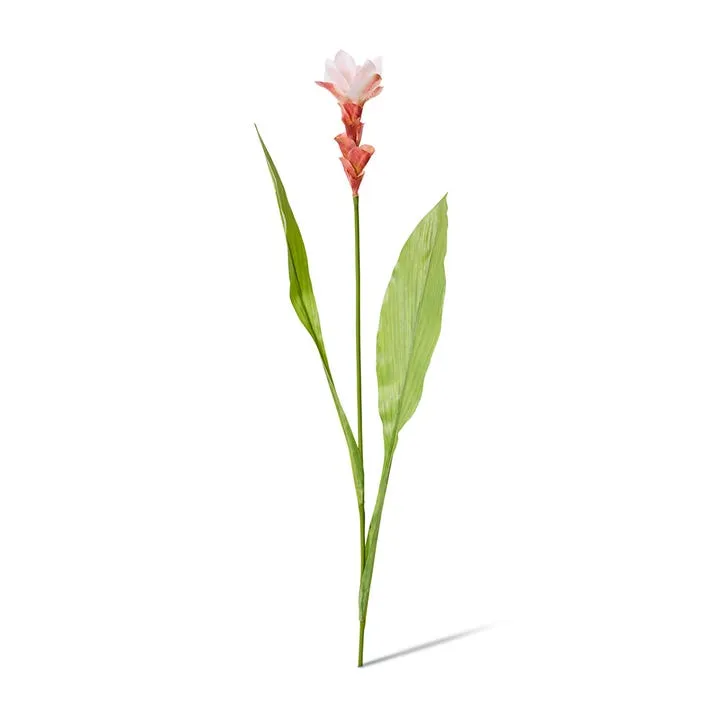 Ginger Flower Spray - 32 x 20 x 84cm