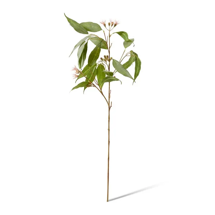 Eucalyptus Flowering Spray - 30 x 14 x 91cm