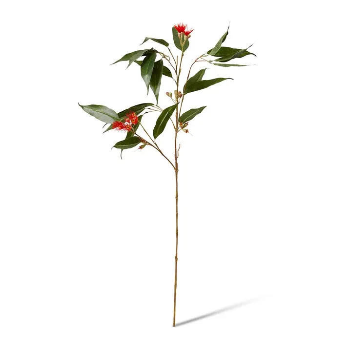 Eucalyptus Flowering Spray - 30 x 14 x 91cm