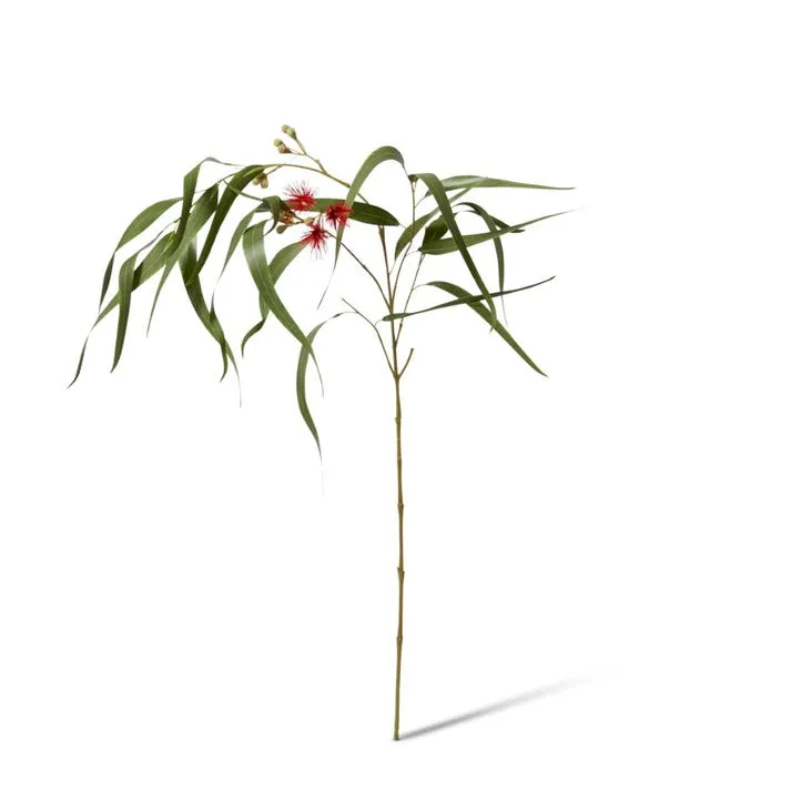 Eucy Flowering Spray - 23 x 16 x 112cm