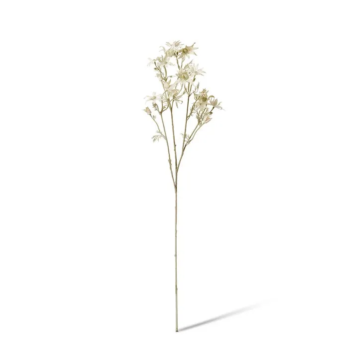 Flannel Flower Spray - 27 x 16 x 81cm