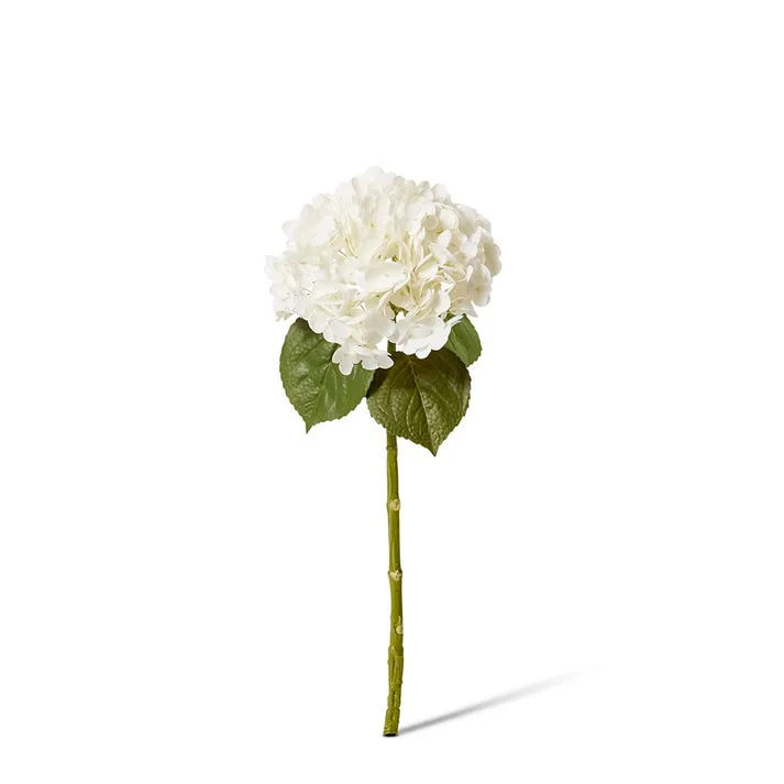Hydrangea Classic Stem (Fresh Touch) - 30 x 20 x 52cm