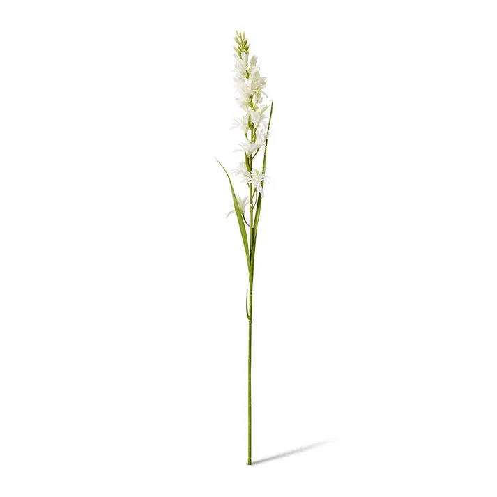Tuberose Stem - 12 x 10 x 90cm