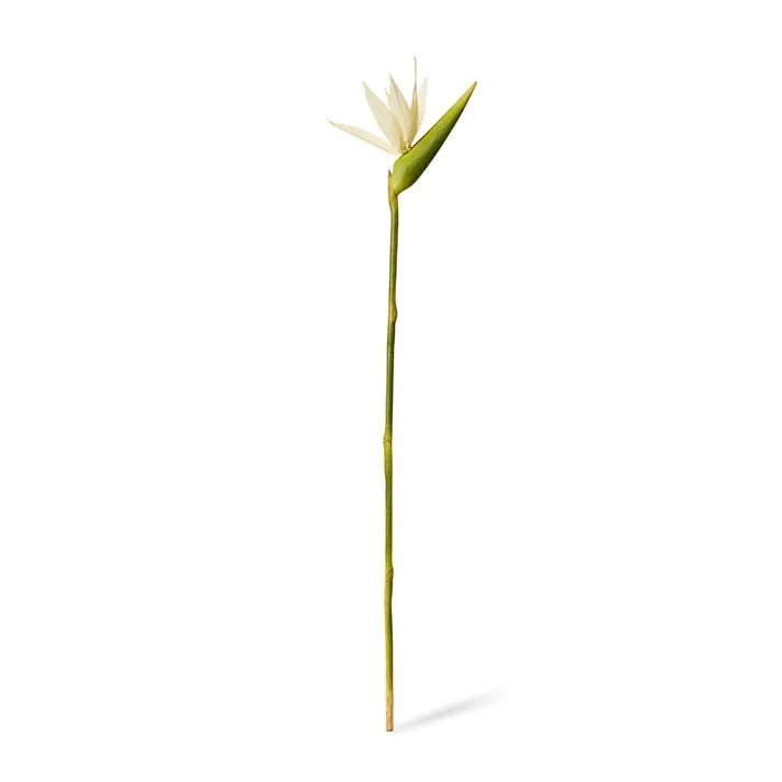 Bird of Paradise Stem - 23 x 12 x 100cm