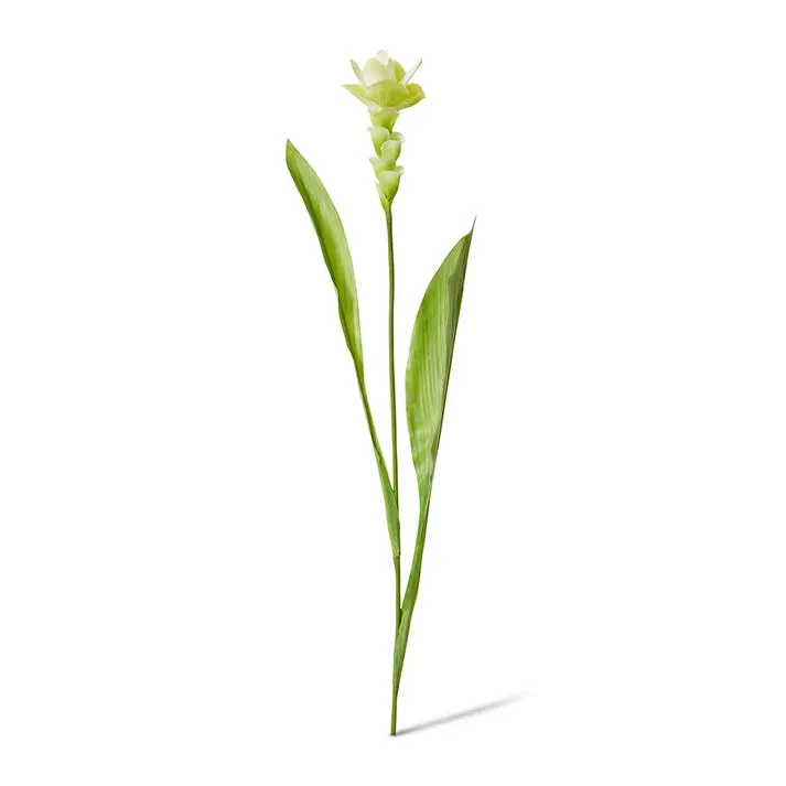Ginger Flower Spray - 32 x 20 x 84cm