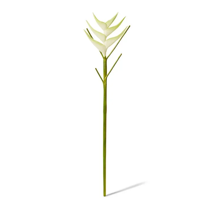 Heliconia Stem - 20 x 20 x 86cm