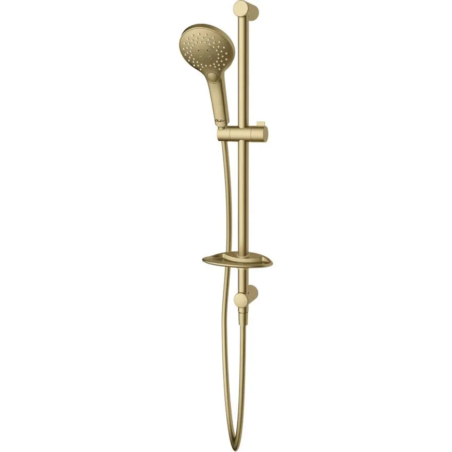 Rome Classic Gold Hand Shower with Rail