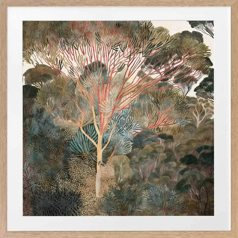 Outback Canopy I Framed Art Print
